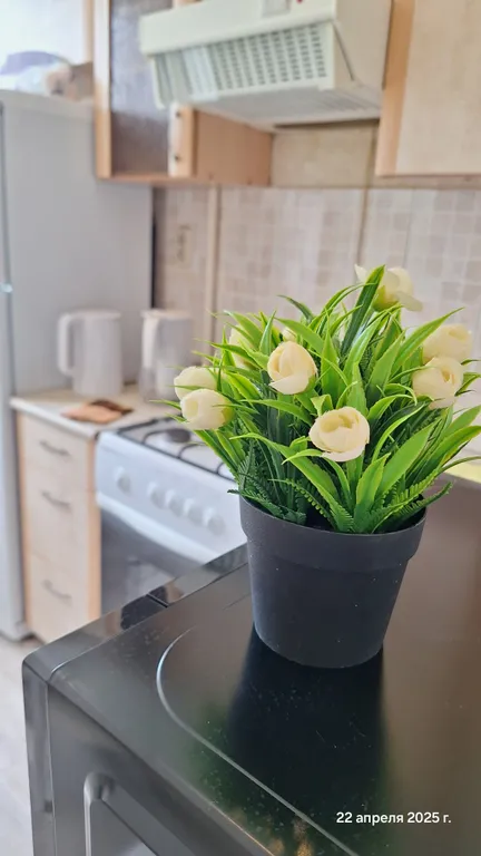 Квартира Квартира с панорамным балконом в самом центре города — Курск