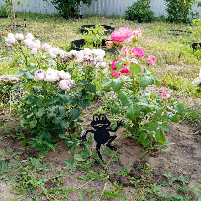 1/2 часть дома в купеческом историческом доме