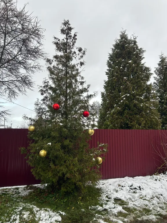 Новый дом в тихом месте