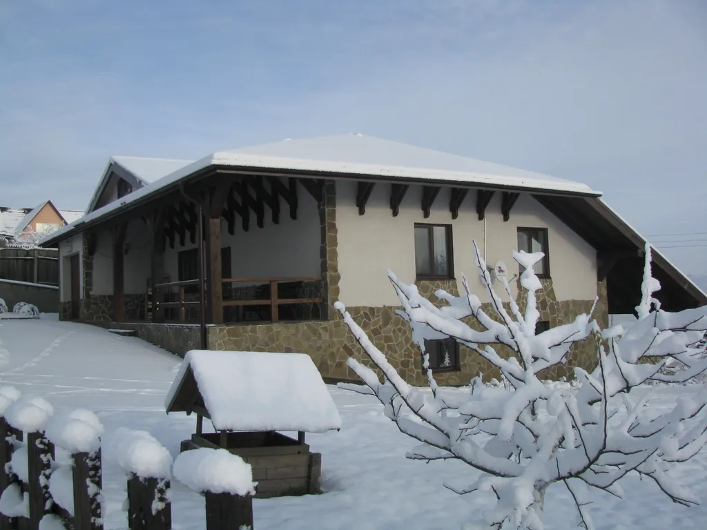 Шале под Минском