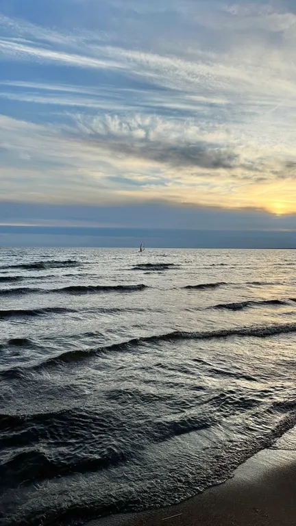 Уютная студия в лесной зоне