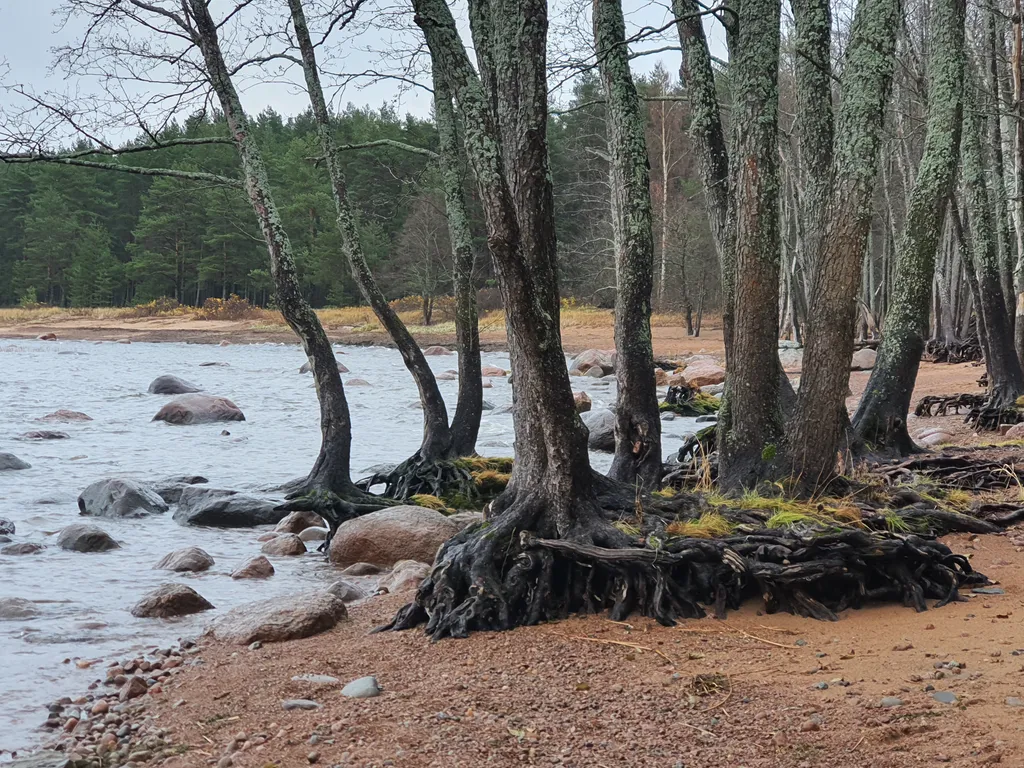 Гостевой дом Игрушечная норка