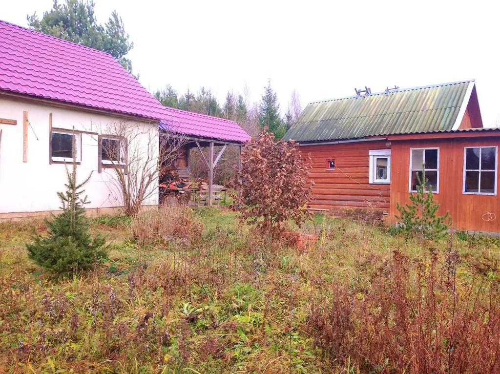 Уютный гостевой дом в поместье Большое небо в экопоселении