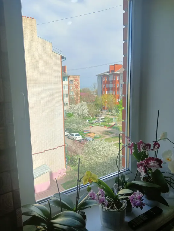 Уютная квартира с видом на море