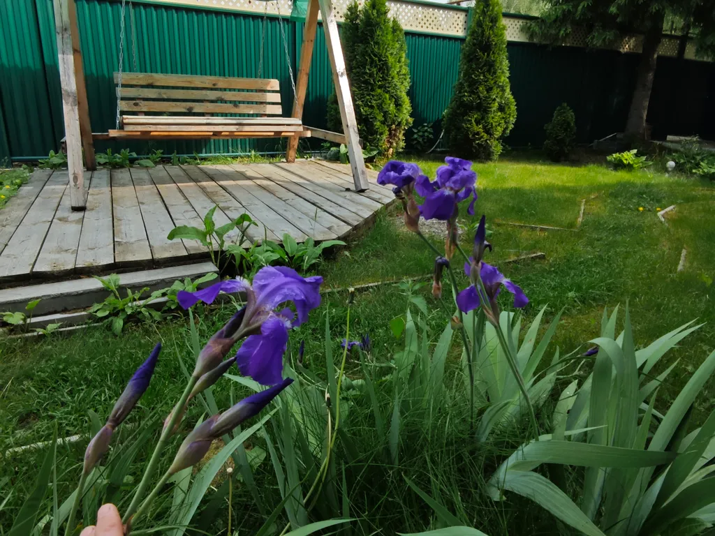 Коттедж Загородный дом с видом на лес — Ситники