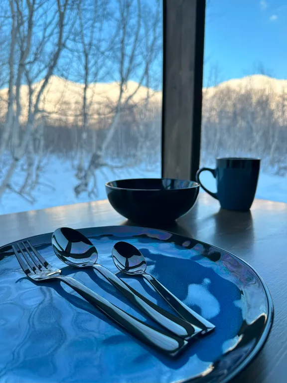 Лесной купольный дом Шикша