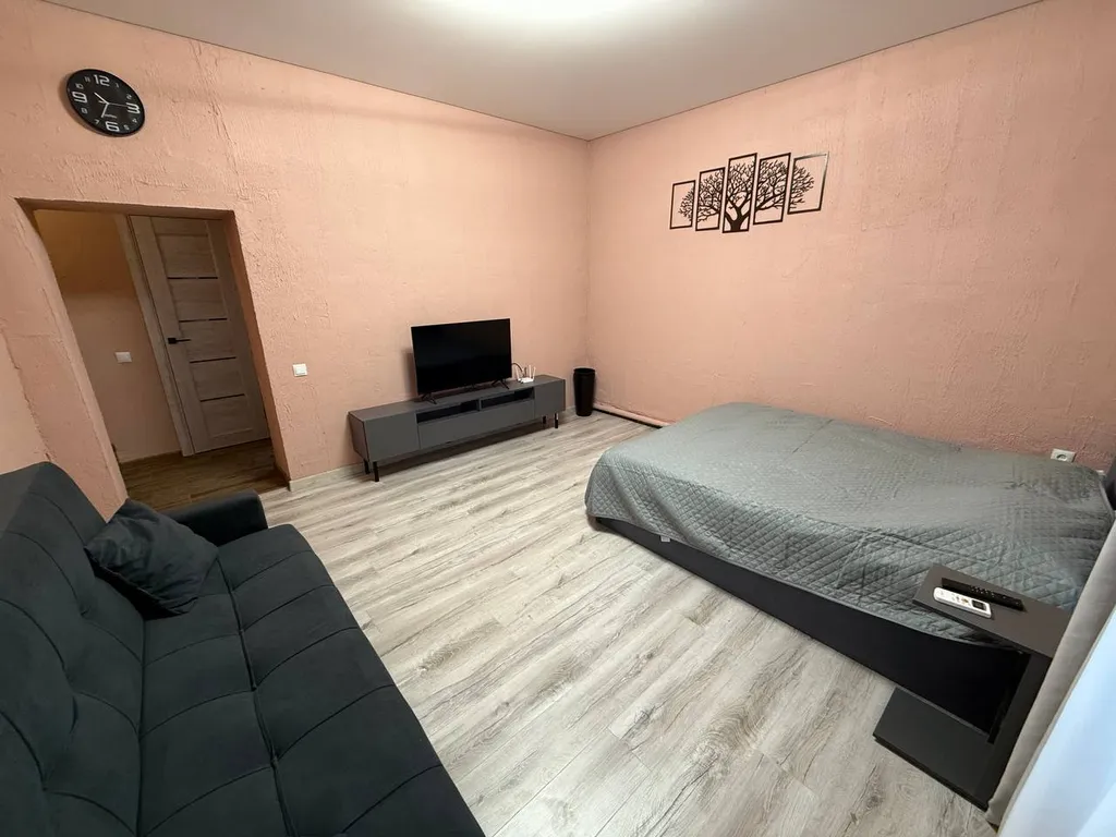 Квартира Просторная однушка — аренда посуточно в Донецк