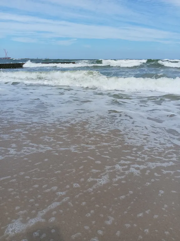 Квартира Уютные апартаменты на берегу Балтийского моря — Пионерский