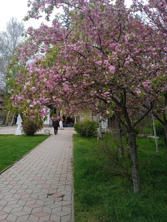 Квартира Квартира у санатория — Горячий Ключ