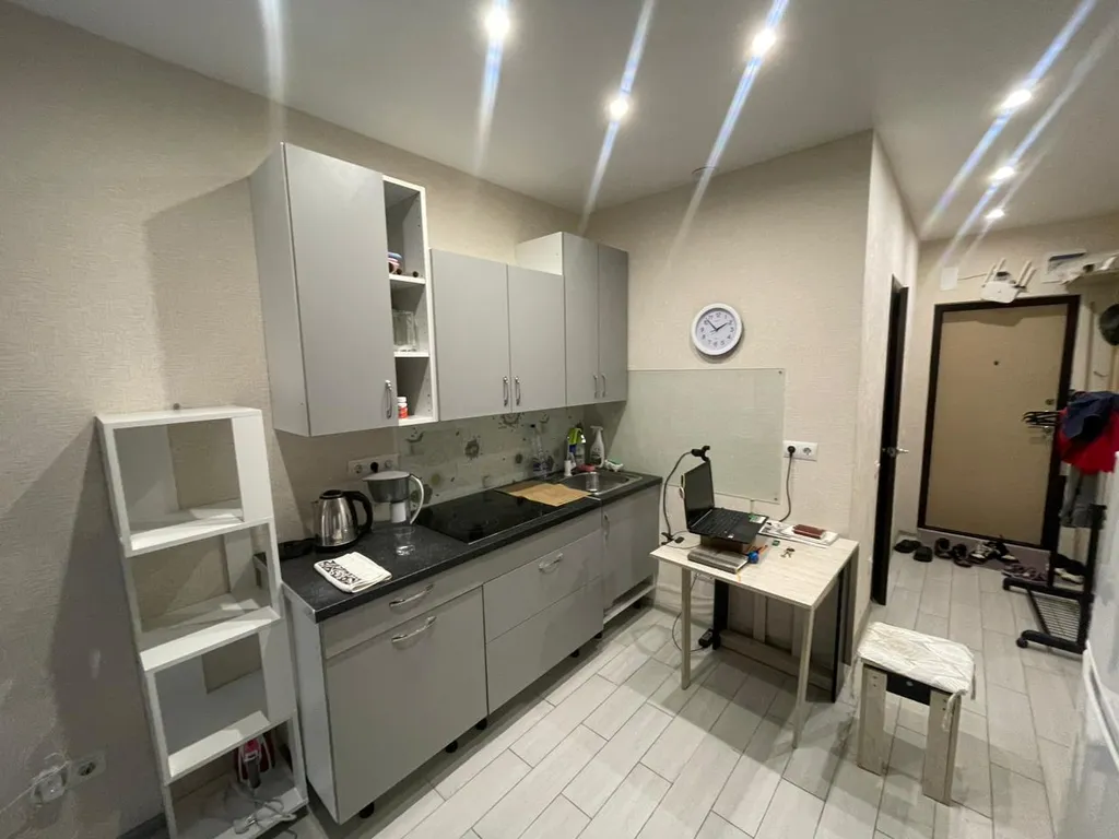 Квартира 1-комнатная Квартира — Сириус