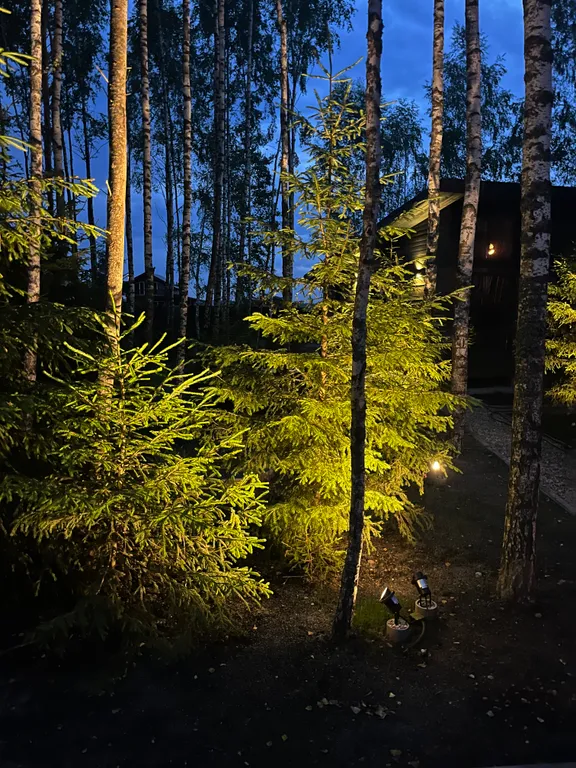 Дача в лесу Lesland