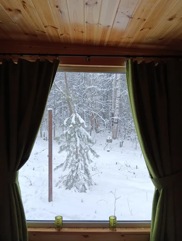 Уютный домик с комфортом  в лесу