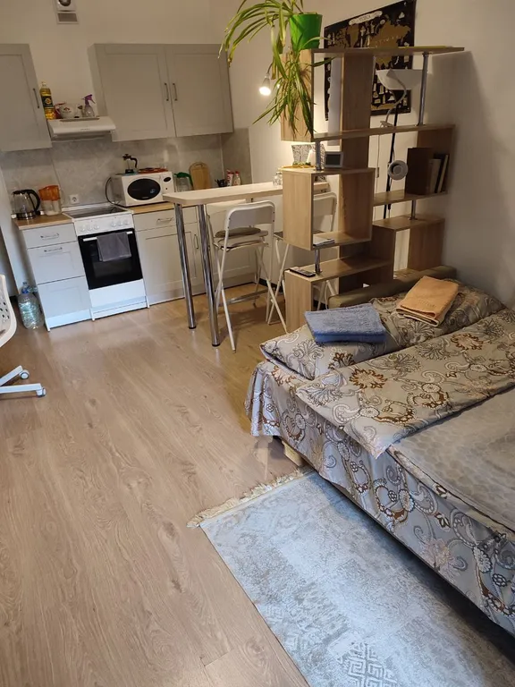 Квартира Уютная студия у метро Девяткино — аренда посуточно в Мурино