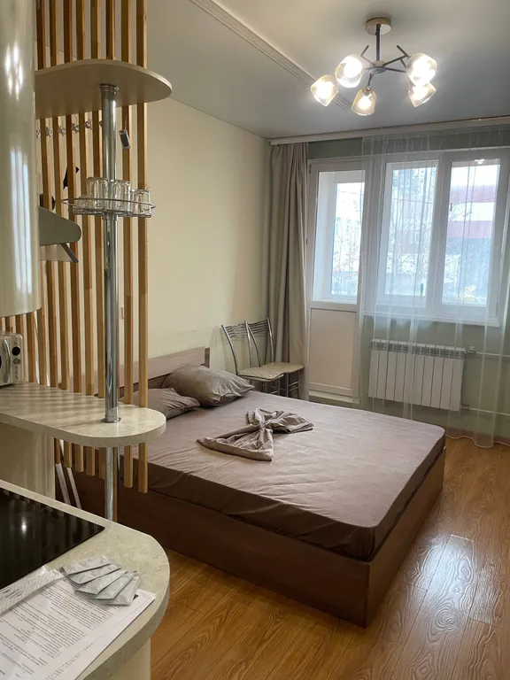 Квартира Уютна студия в Спутнике — аренда посуточно в Засечное