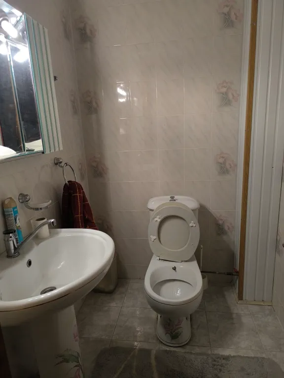 Дом в живописной части города