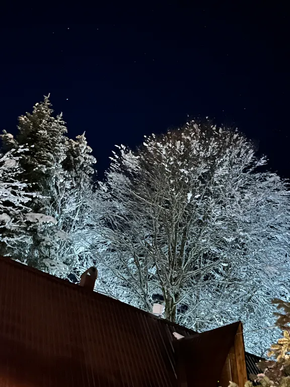 Горы, лес и уют — ваш отдых в Архызе начинается здесь