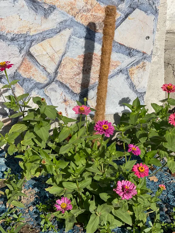 Частный дом.Участок 5 соток.Без соседей.В пешей доступности от моря