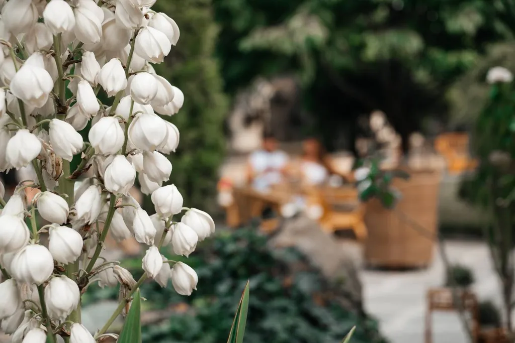 Дом "Донна Роза" на Аксайской -знаменитый дом с олимпийским бассейном