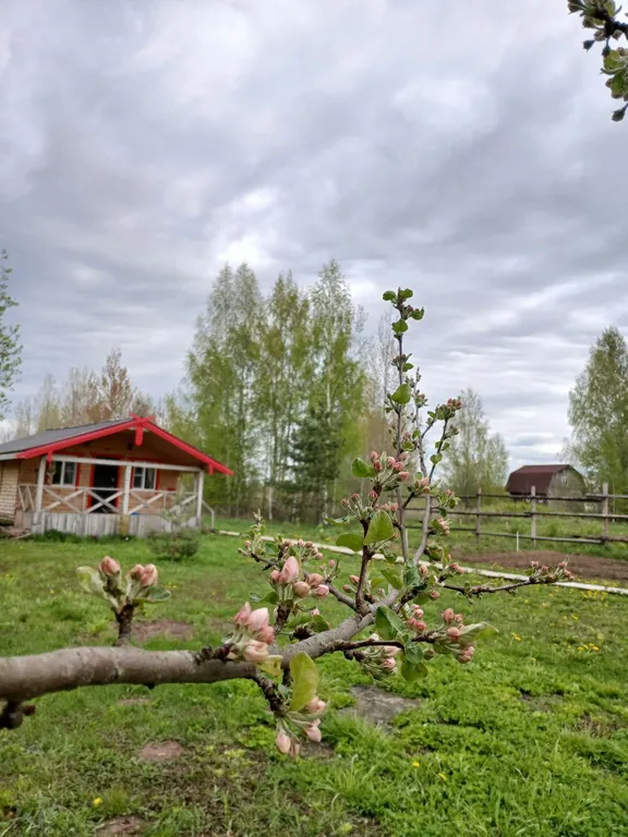 Коттедж Дом в сердце русской деревни — аренда посуточно в Великий Новгород