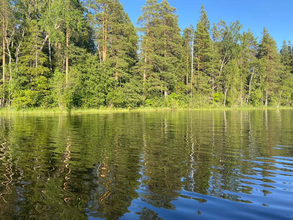 Дом с купелью на берегу Онежского озера