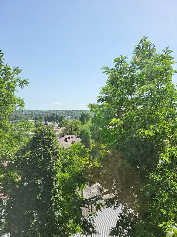 Квартира в центре города, рядом с Цветником