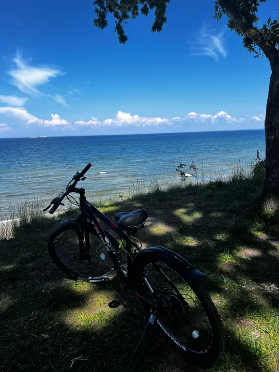 Уютная квартира в 5-ти минутах от моря