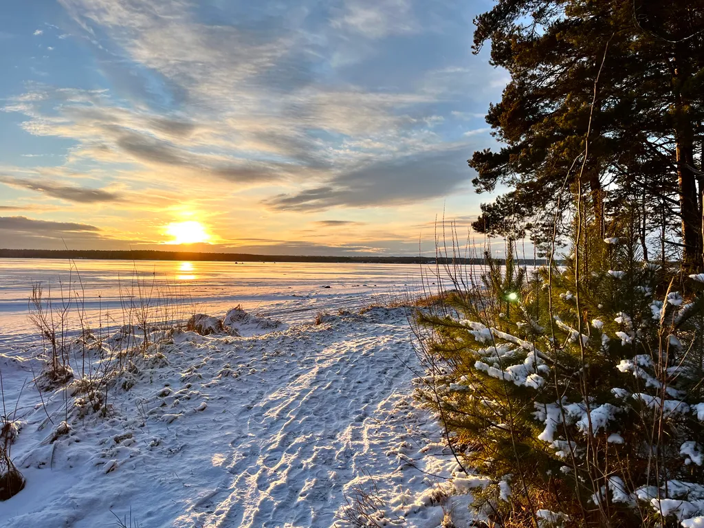 Коттедж Коттедж на озере Волго на Селигере в сосновом бору — Турбаза Чайка