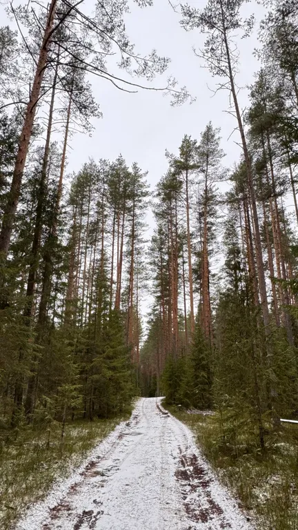 Коттедж Эко-дом у озера: отдых вдали от суеты — Лебяжье