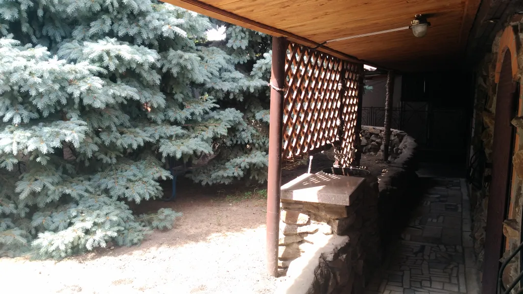 Дача для семейного отдыха Елки-иголки