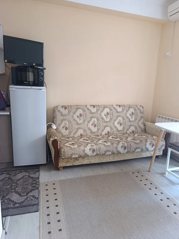 Квартира 1-комнатная Квартира — Сириус