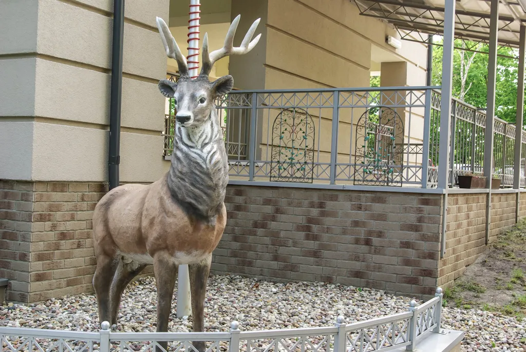 Квартира Квартира Из Дома в Дом — Светлогорск