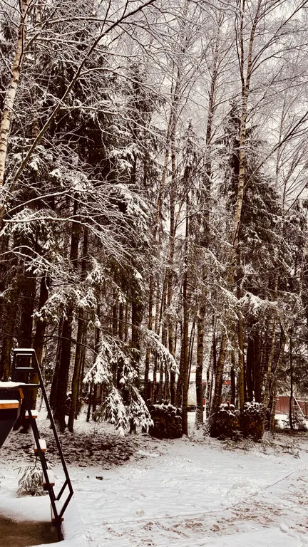 Дом с сибирским банным чаном в лесу