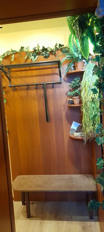 Квартира с видом на северное сияние