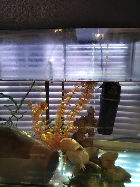 Квартира Уютная квартира на Московском — Ярославль