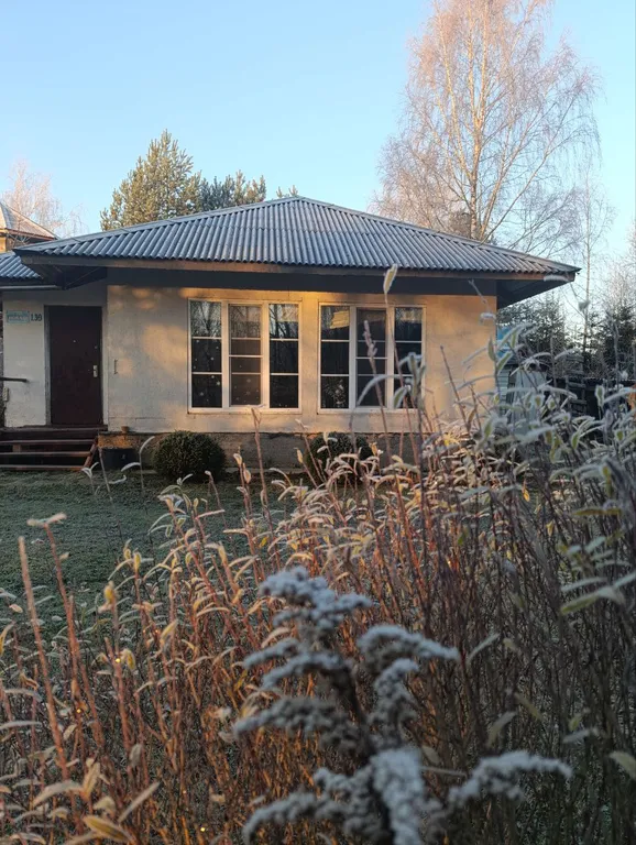 Дом с видом на лес