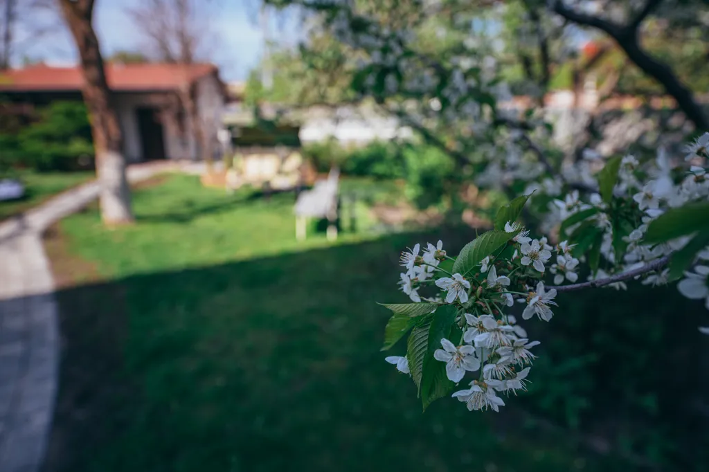 Комфортный дом в центре города, рядом с Верхним озером
