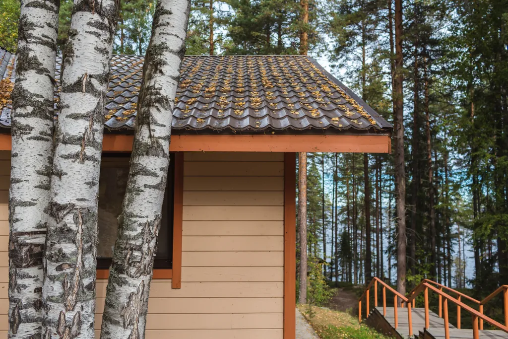 Шестиместный коттедж с сауной Денисов мыс, Карелия — аренда посуточно в Алекка