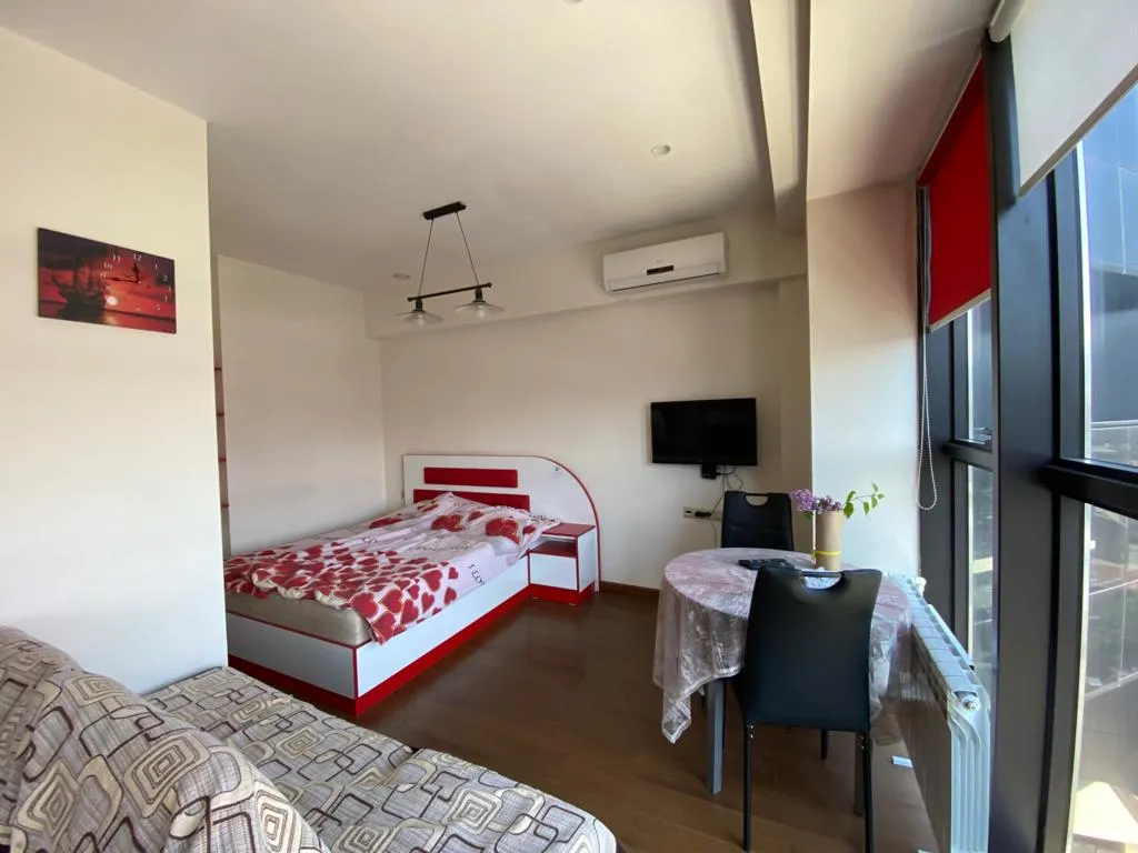 Студия с панорамными окнами