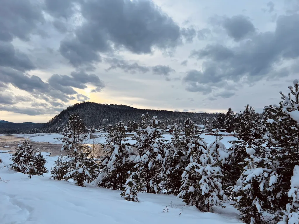 Гостевой дом У Беспаловых с видом на реку Бия