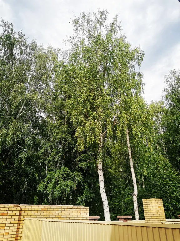 Уютное Бунгало на Банном на Зелёной Поляне