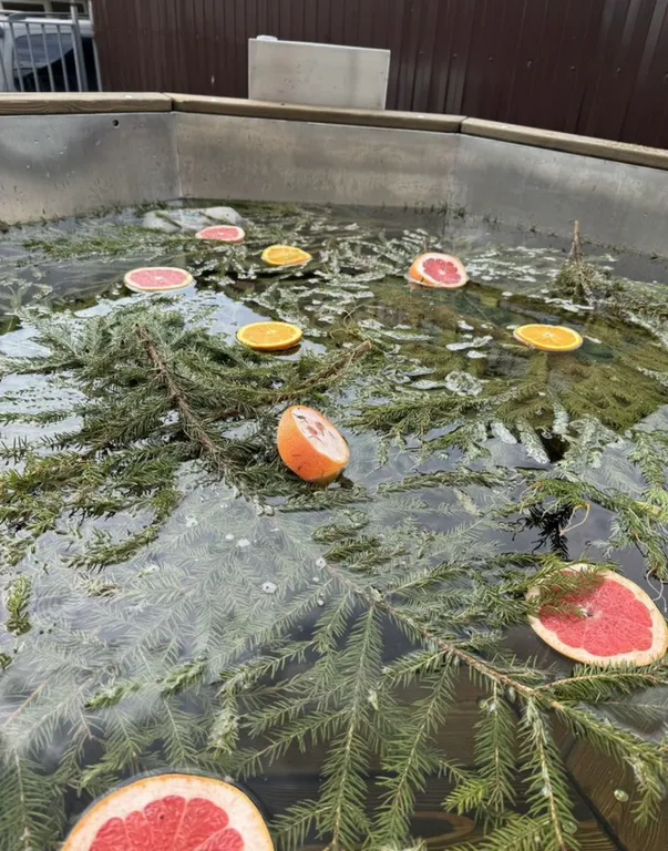 Коттедж Дом с чаном, баней и бильярдом — Софрино