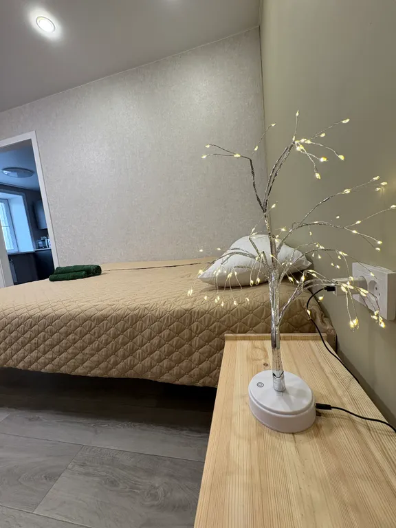 Уютная 1-комнатная квартира в центре города — аренда посуточно в Улан-Удэ