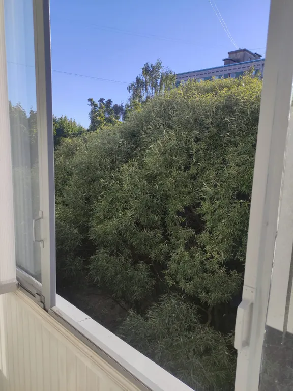 Квартира Просторная квартира со всеми удобствами — Дубна