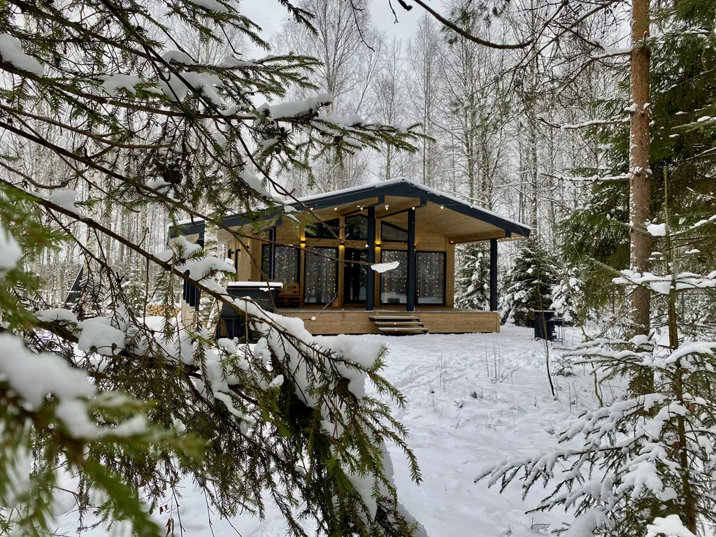 Эко-дом с панорамными окнами #1