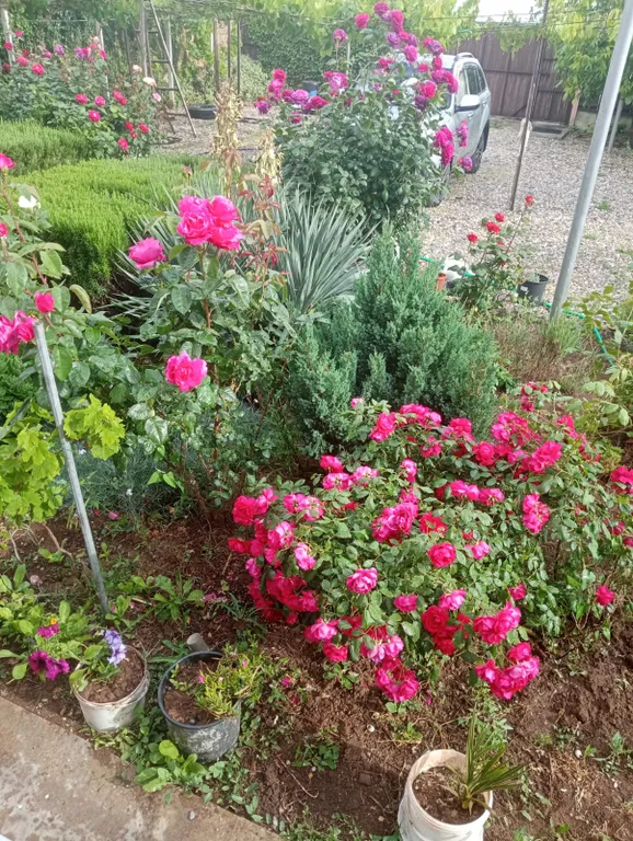 Квартира Комната — Витино