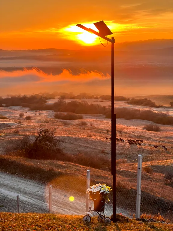 Домик на холме с видом на лес и горы