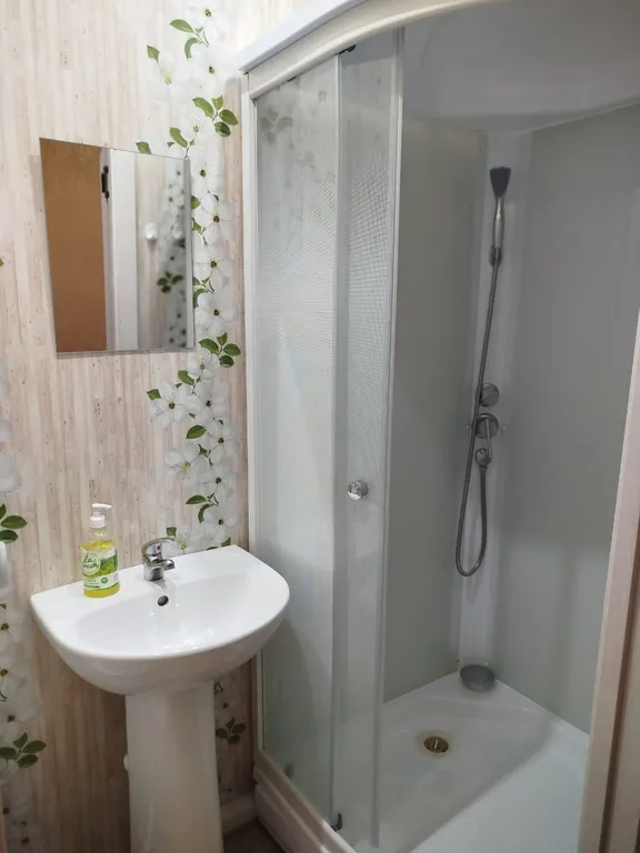 Двухкомнатные апартаменты Ирисы со всеми удобствами