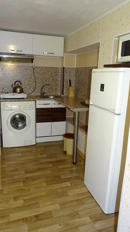 Однокомнатная квартира с двориком около дома Чехова