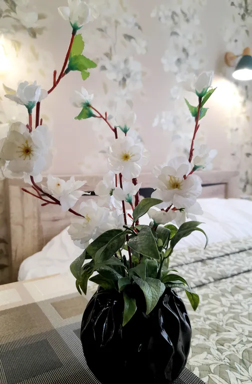 Однокомнатная квартира в центре