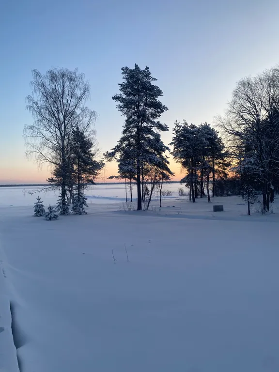 Коттедж в Карелии с сауной и видом на озеро